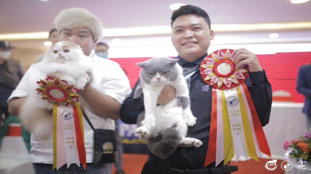 Cat show đầu tiên tại Việt Nam