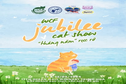 WCF Jubilee Cat Show - Tháng Năm Rực Rỡ