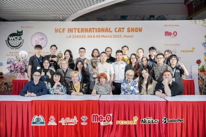 Hơn 200 bé mèo "tranh tài" tại Cuộc thi "sắc đẹp" WCF International Cat Show do VCA tổ chức