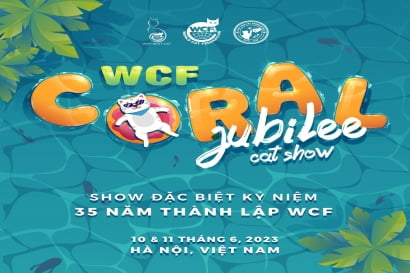 WCF Coral Jubilee Catshow - Show mèo kỷ niệm 35 năm thành lập Liên Đoàn Mèo Thế Giới 